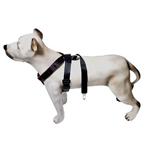 Cinto de Segurança Peitoral Para Cães (P) K9 Spirit