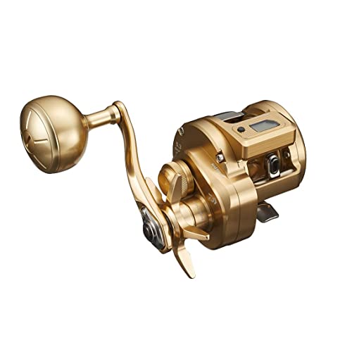 Daiwa 21 Basara IC 250P Reel