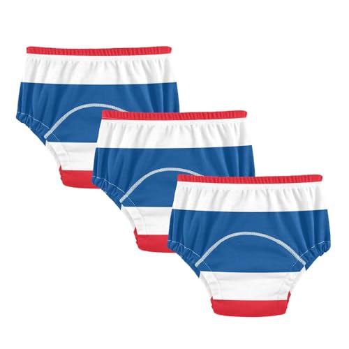 Little Boys Potty Training Underwear Set Leakproof Boxer Briefs for Toddler Boys 4T Thailand Flag