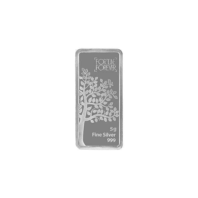 Hope Gems & Jewels(5g, 10g, 20g, 50g, 100g) 999 Pure Silver Bar for Gifting and Investment
