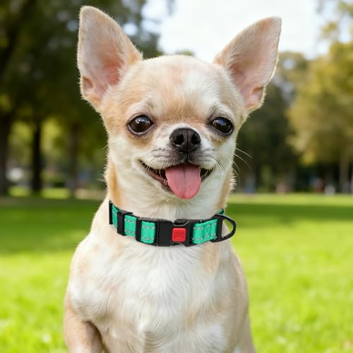 Taglory Hundehalsband, Weich Gepolstertes Neopren Nylon Hunde Halsband für Welpen, Verstellbare und Reflektierend für das Training, Türkis