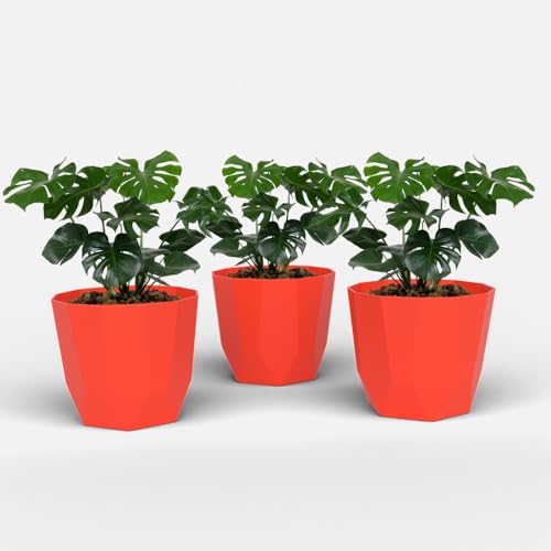 Image of YUCCABE ITALIA SHERA Hexa Plastic Planter Pot for Plants | Decorative Flower Pot | UV Protected Lightweight Indoor Outdoor Gamla for Home Decor, Balcony, Garden & Living Room
