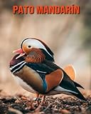 pato mandarin colombia  Pato mandarín: Libro para niños con imágenes hermosas y datos interesantes sobre los Pato mandarín