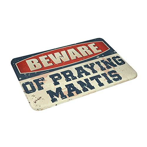 Paillasson praying mantis grand tapis entrée originale maison - 4