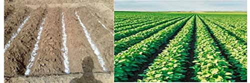 Water Retaining Crystal For Plants To Grow Deep Strong Roots (1 Pound) #TOP5