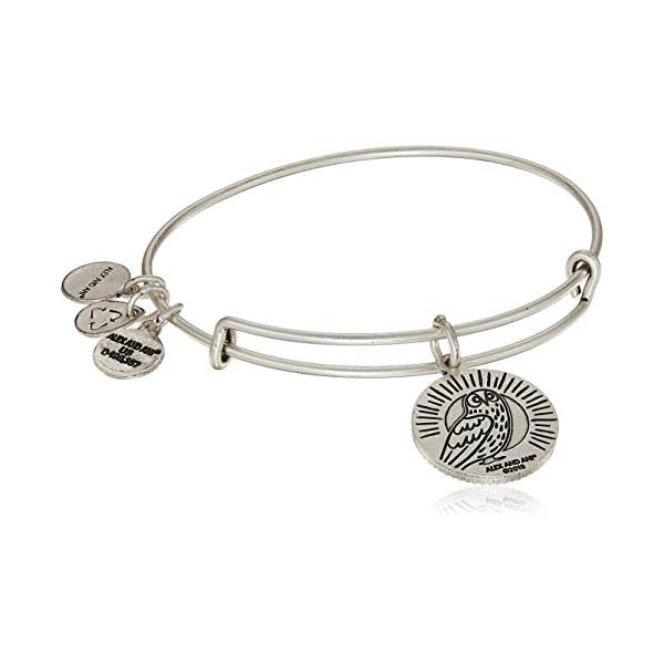 Alex and Ani Occupations Expandable Bangle for Women, Teacher Charm, Rafaelian Silver Finish, 2 to 3.5 in, A18EBTCRS