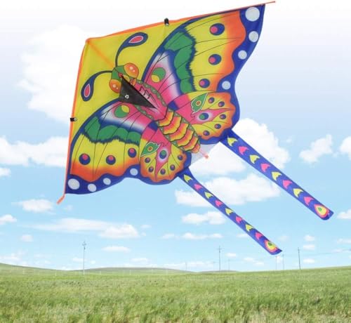 Pipa Borboleta 3D em Poliéster Colorida com Linha de Nylon