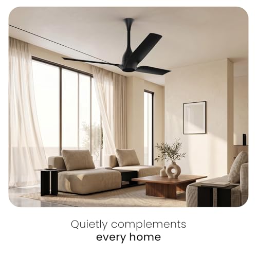 Image of Orient Electric Aerosilent | India's Most Silent Fan | Less than 50dB| 1200mm BLDC Ceiling Fan with Remote | BEE 5-Star Energy-Efficient Fan | Red Dot Design Winner| 5-Year Warranty | Matt Black