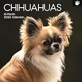 The Gifted Stationery