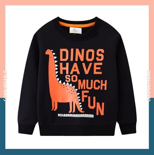 Boys Sweatshirts Casual Sweatshirts Cotton Sweatshirts Long Sleeve T-shirts Crew Neck Cartoon Tops for Boys-1763