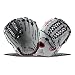 RAWLINGS RLA125FS-15WNS-3/0 Liberty Advanced Fastpitch Softball Glove, White/Scarlet/Navy, 12.5"