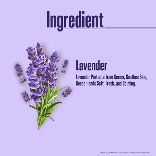 Image of Multani Natural Lavender Hand Wash - 500 ml (Pack of 2) | Gentle Hand Cleanser With Natural Ingredients | Moisturizing Hand Wash | 99.9% Germ Protection Liquid Hand Wash