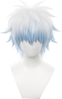 Eileen 銀.魂 坂田銀時 耐熱 ウィッグ アニメ さかた ぎんとき ウィッグ 変装用ウィッグ 文化祭 【専用ネット付き】