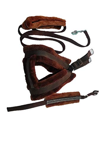 PET CLUB51 Combo FAR Harness-Brown-(Chest -33-42) Large Dog