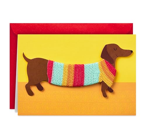 Hallmark Geburtstagskarte mit abnehmbarem Dackel-Magnet (Hund im Pullover)