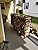Rocky Mountain Goods 8 ft Firewood Rack - Outdoor/Indoor - Wood Storage Firewood Holder - Heavy Duty Steel Log Rack - Easy Install in Minutes - Included Hardware - Keeps Firewood Up and Dry