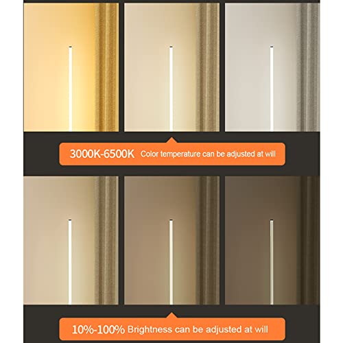 Lámpara de pie metálica regulable con luz LED de brillo variable del 10% al 100% para casa 3