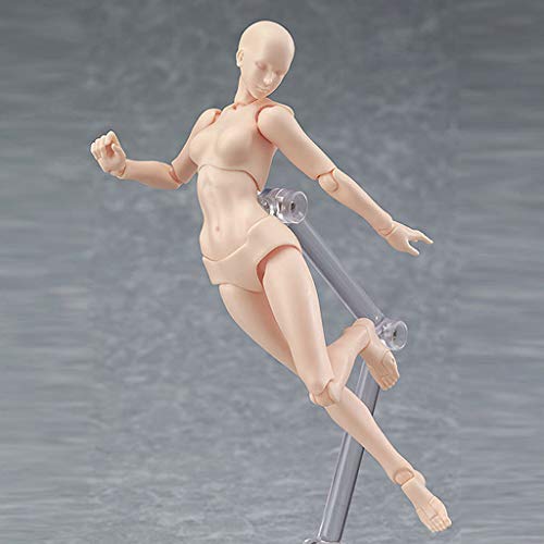 Drawing Figures for Artists Action Figure Model Human Mannequin Man and Woman Set,with Accessories Kit for Sketching, Painting, Drawing, Artist (2 Pcs/Set Action Figure Model with Accessories Kit)