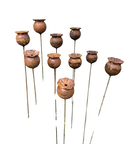 Rusty Flowers Set of 10, Poppy Seeds Head Garden Decor,