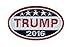 Trump 2016 Pin (1 Pin)