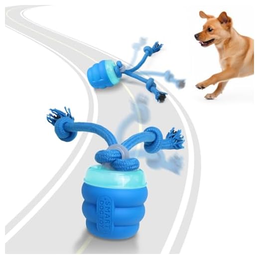 Giociv Interactive Dog Toys, Random Moving and Rolling Dogs Toy with Rope for Small Medium Dogs, with Motion-Activated