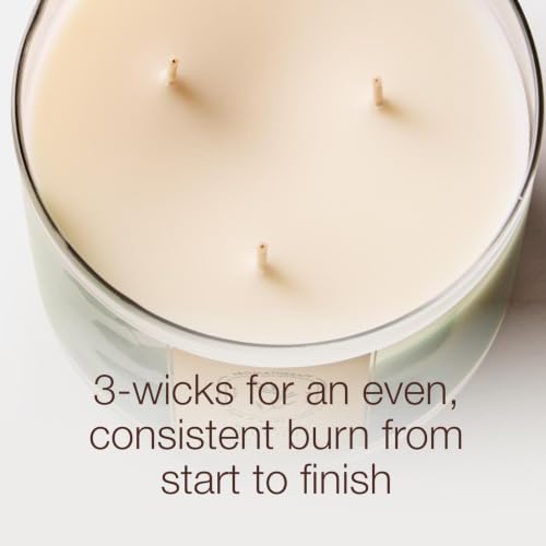 Bath & Body Works 3-Wick Candle, Winter Candy Apple Scent | Up to 45 Hours Burn Time, Winter Candle, Winter Candy Apple Candle, Soy Wax Blend, Holiday Décor & Gifting - image 5