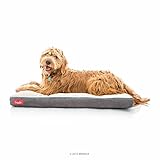 Brindle Khaki Shredded Memory Foam Dog Bed - Pet Essentials - Orthopedic Design - Crate Compatible -...