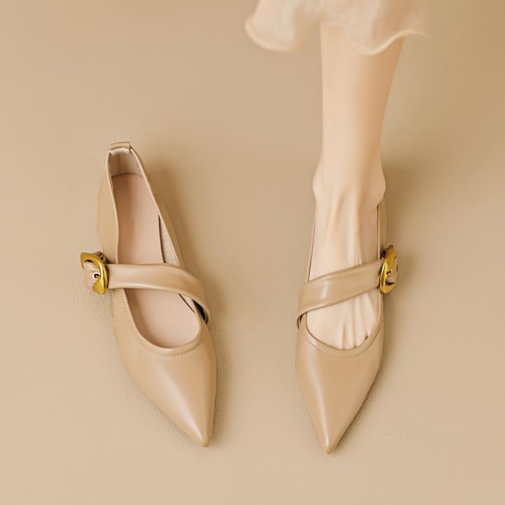 Pointed Toe Mary Jane Flats for Women Closed Toe Flats with Buckle Ballet Flats Shoes for Women Slip On Shoes4