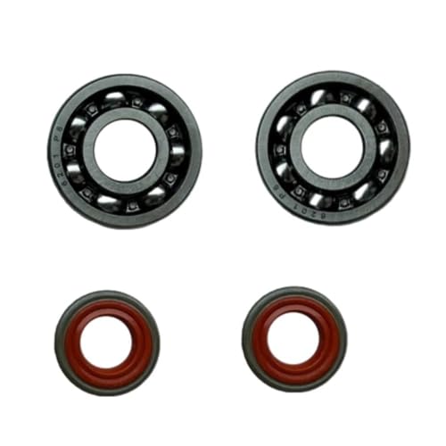 Kit vilebrequin robuste avec roulements et joints étanches FS250 - 5