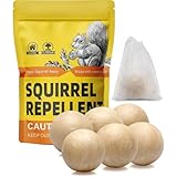 FIONAT Squirrel, Easy to Use, 6 Packs