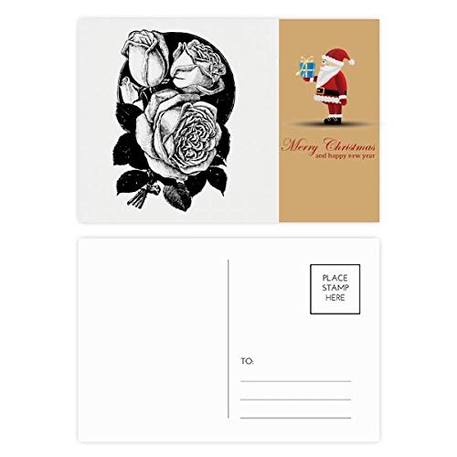 Cartes postales roses motif fleurs lot de 20 pour correspondance anniversaire et remerciement