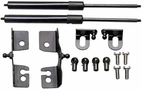 HELMOP 2 Piezas Coche Resortes de Gas para FIAT 124 Spider 2015-2019, Muelle Soporte de Elevación Accesorios Amortiguadores