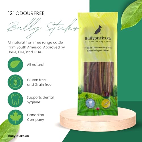 ODOURFREE 12" Standard Bully Sticks for Dogs (10 Pack) Dental Chew - Rawhide Free - Supports Dental Hygiene - Single Beef Ingredient - No additives - Consistent Size - Canadian Com image 3