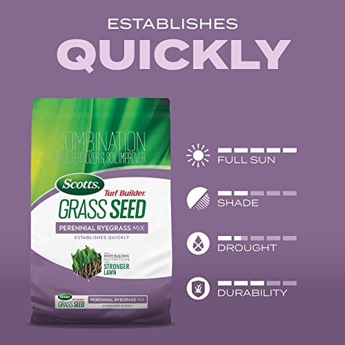Scotts Turf Builder Grass Seed Perennial Ryegrass Mix, 2.4 lbs. - image 9