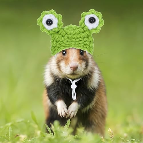2 peças de fantasia para hamster, mini chapéus de malha para animais de estimação, para cobras, sapo