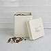 Home Basics Trellis Small, Ivory Tin Canister, One Size