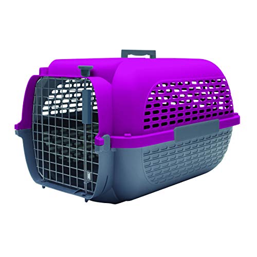 Dogit Pet Voyageur Peq. Fucsia/Gris, PEQUEÑO