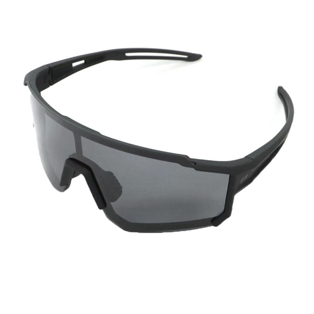 スポーツ用ミラーレンズゴーグル ハードケース付 Amazon.co.jp: Birdz アイウェア セイル パッド入り ジェット