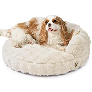 EHEYCIGA Small Dog Bed and Cat Couch for Puppy and Kitten – Fluffy Faux Rabbit Fur Pet Sofa with Washable Removable Cover, Waterproof and Non-Slip, 23 Inch Cream