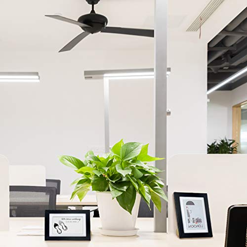 image for Giftgarden Picture Frames 4x6, Display 4x6 Pictures with Mat or 5x7 wi