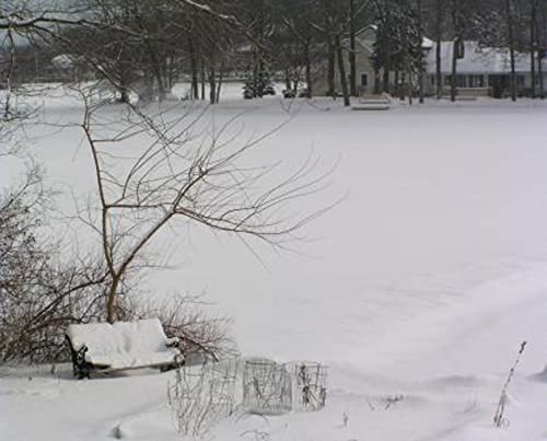 Winter Mornings : Peaceful Instrumental Background Music For Relaxation. #TOP4