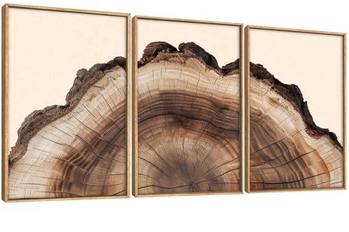 Image of KAIRNE Vintage Tree Rings Framed Canvas Wall Art Set, Retro Wood Stump Wall Decor, Neutral Tree Spiral Art Prints, Modern Annual Ring Artwork for Living Room, Bedroom, Farmhouse, Office-16 x24 x3