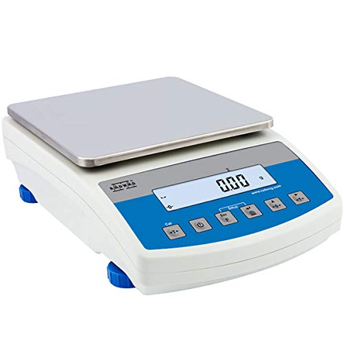 Radwag WLC 10/A2 Precision Balance