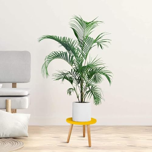 Image of WOOYNEX WOODEN Multifunctional Plant Stand - Modern Home Decor, Wood Planter Holder for Flower Pots, For Living Room Bedroom Balcony Indoor and Outdoor - Kids Stool-(Yellow)