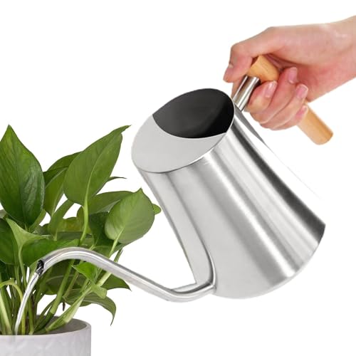 El agua de agua, el riego largo de picos puede,Latas de riego de planta de boquilla larga de acero inoxidable | 1L Capacidad Vegetación de agua para plantas de casa Bonsai Flor de jardín al aire libre