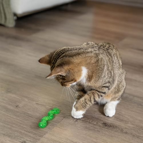 Catstages Orkakat Wiggle Worm - Katzenspielzeug mit Katzenminze - zum Kauen & für die Zahnpflege