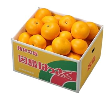 八朔こおりみかん まるかじり九州 送料無料 有機栽培 佐賀 紅八朔 1箱 約2kg 紅