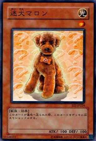 マロン様、遊戯王 遊戯王オフィシャルカードゲーム デュエルモンスターズ 遊戯王カード