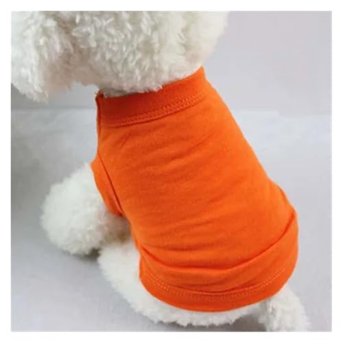 Vêtement pour chien qui protège de la chaleur en coton