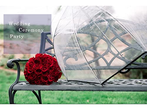 Siepasa Women’s Clear Bubble Transparent Umbrella-Auto Open Clear Dome Umbrella With Classic Hook Handle For Gentlemen And Ladies Wedding, Bridal Parties, Outing And Large Group Gathering, Graduation, Prom, Or Everyday City Walking. (White) #TOP6